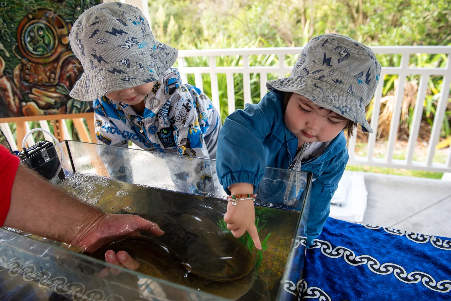 Tickling Tuna (Eels) At Freshwater Frenzy