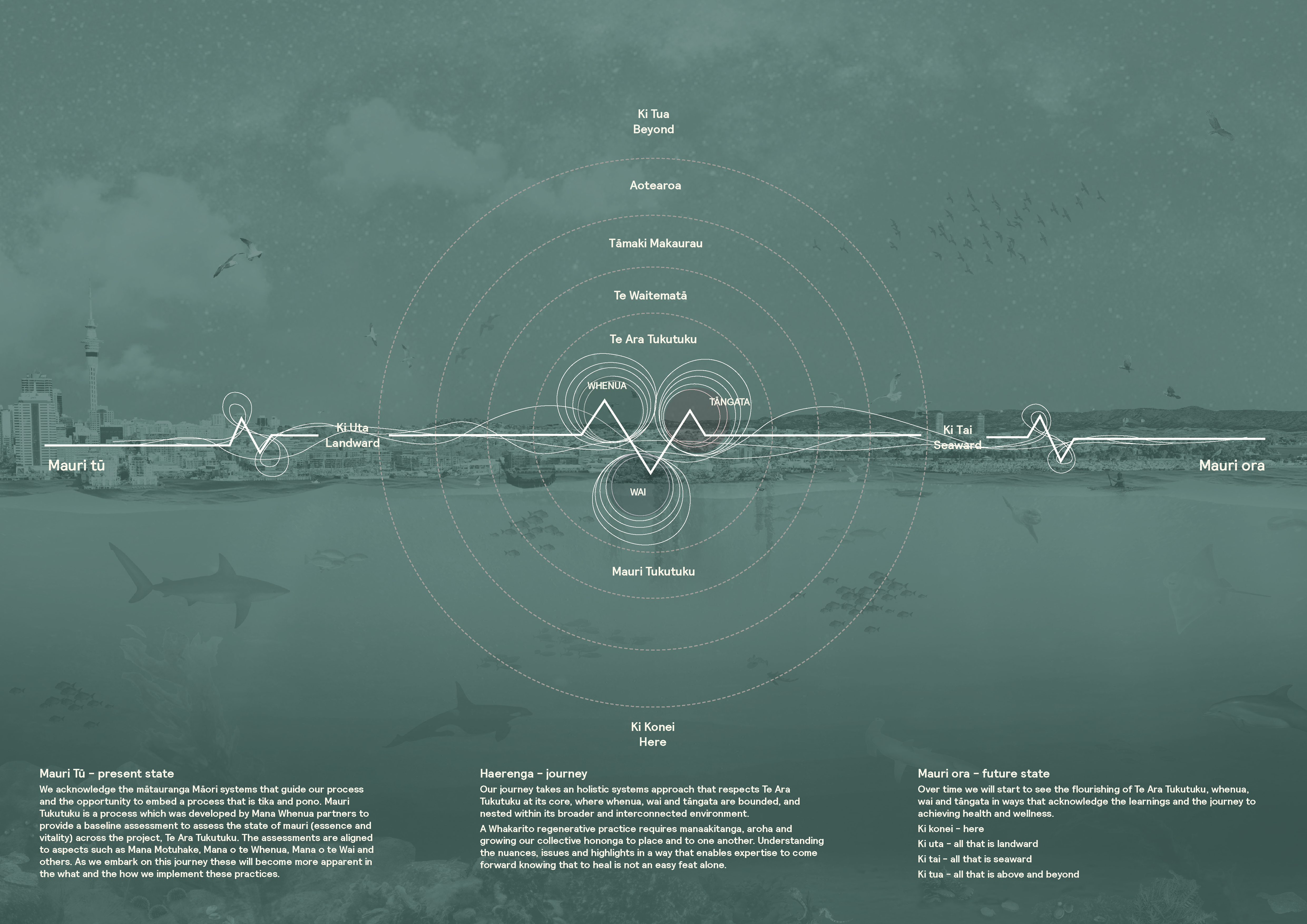 3. Regenerative Practice NEW