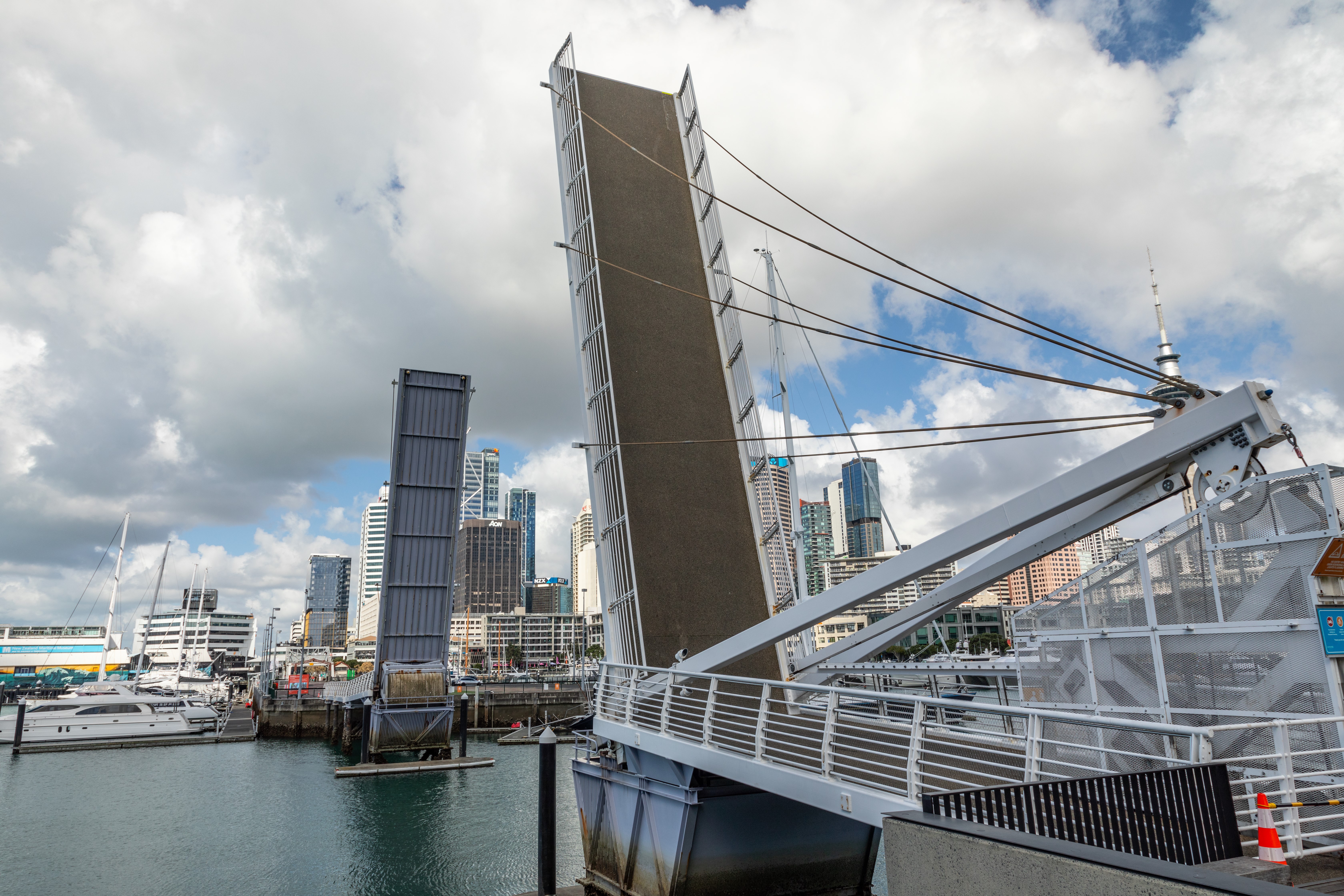 Wynyard Crossing Bridge 3786